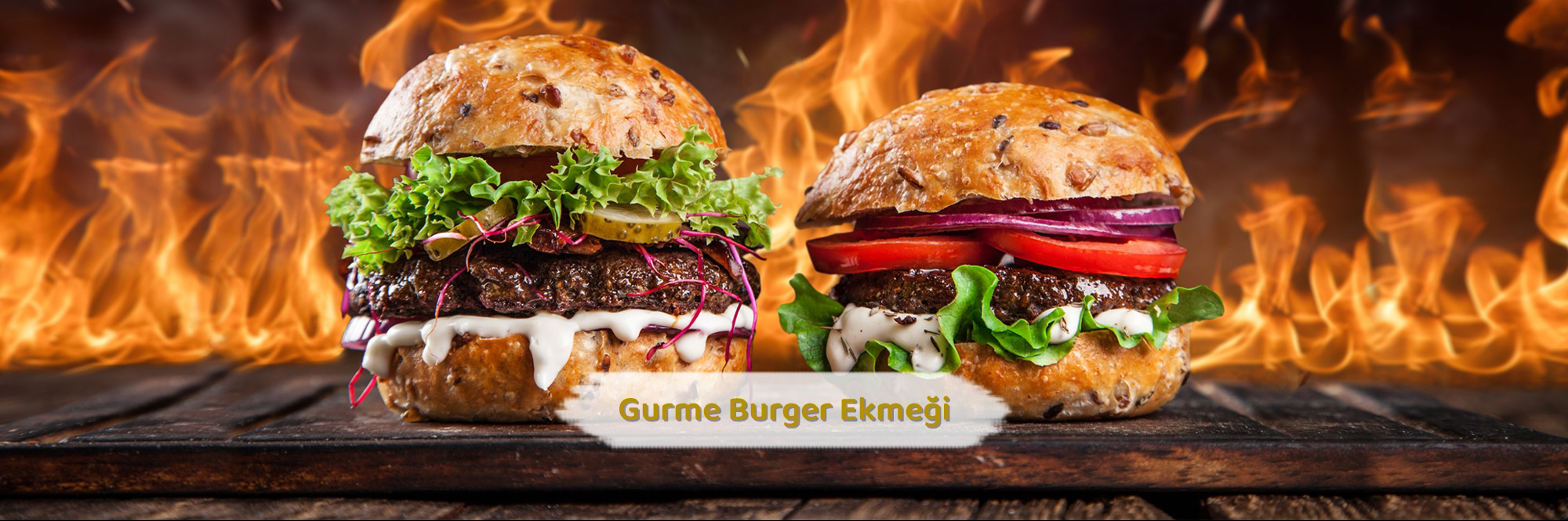slider_416685761585716.JPG_1026242_buyuk